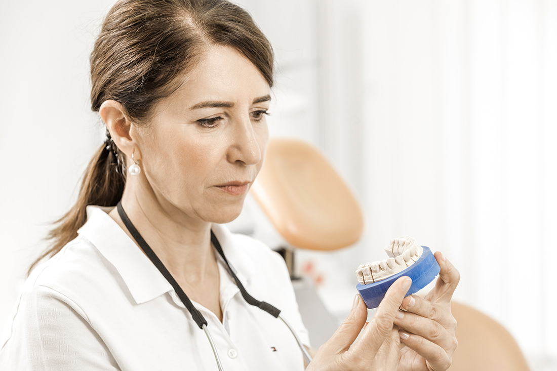 Zahnärztin Neuss - Sarem-Aslani - Dentalmodell